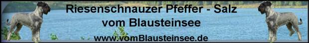 banner%20vom%20blausteinsee%201.jpg