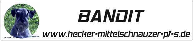 banner%20von%20bandit.gif