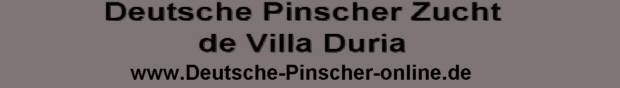 dp_de_villa_duria.jpg