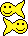 fisch.gif