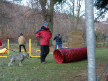 og_alsdorf081001.jpg